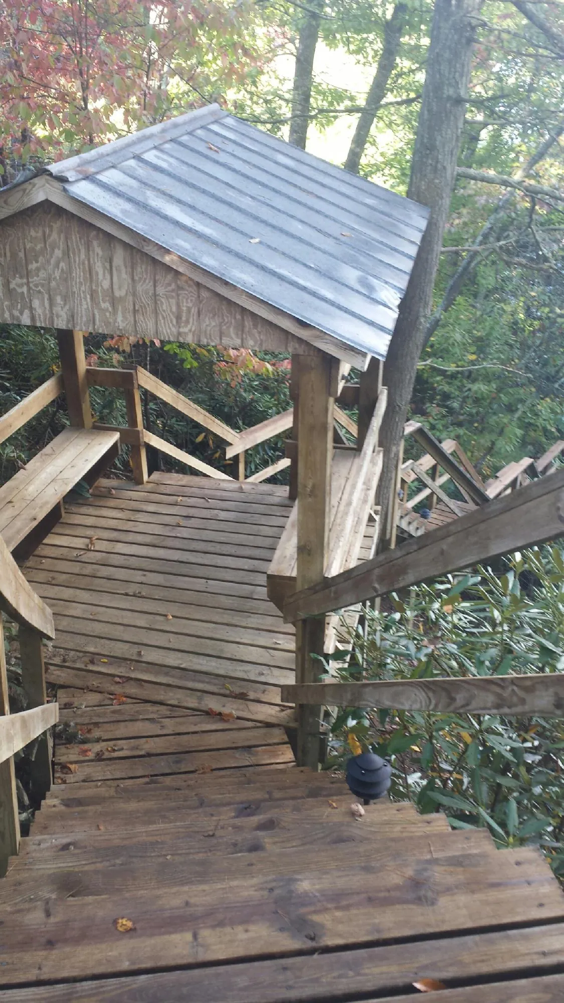 Metal roofed shelter over wooden steps on a wooded walkway — Skylight Repair & Installation work by our crew in Blytheville